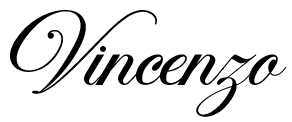 logo-vincenzo